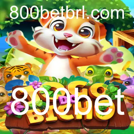 Explorando o JOGODOBICHO e a Plataforma 800bet